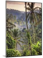 Indonesia, Bali, Ubud, Landscape Around the Campuhan Ridge Walk-Michele Falzone-Mounted Photographic Print