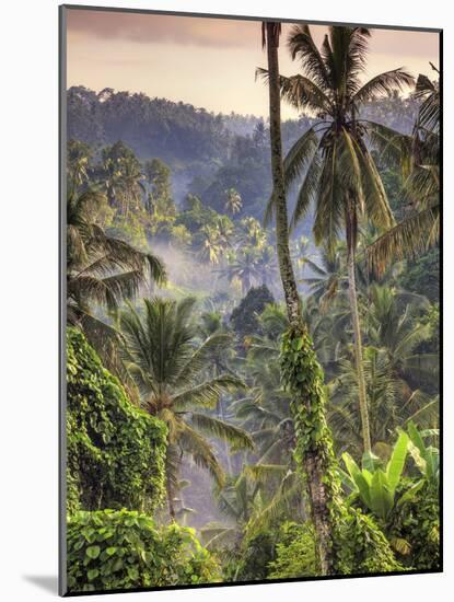 Indonesia, Bali, Ubud, Landscape Around the Campuhan Ridge Walk-Michele Falzone-Mounted Photographic Print