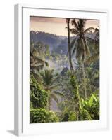 Indonesia, Bali, Ubud, Landscape Around the Campuhan Ridge Walk-Michele Falzone-Framed Photographic Print