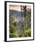 Indonesia, Bali, Ubud, Landscape Around the Campuhan Ridge Walk-Michele Falzone-Framed Photographic Print