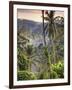 Indonesia, Bali, Ubud, Landscape Around the Campuhan Ridge Walk-Michele Falzone-Framed Photographic Print