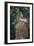 Indonesia, Bali, Ubud, Long Tailed Macaque in Monkey Forest Sanctuary-Paul Souders-Framed Premium Photographic Print