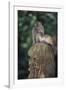 Indonesia, Bali, Ubud, Long Tailed Macaque in Monkey Forest Sanctuary-Paul Souders-Framed Photographic Print