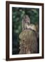 Indonesia, Bali, Ubud, Long Tailed Macaque in Monkey Forest Sanctuary-Paul Souders-Framed Photographic Print