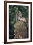 Indonesia, Bali, Ubud, Long Tailed Macaque in Monkey Forest Sanctuary-Paul Souders-Framed Photographic Print