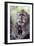 Indonesia, Bali, Ubud, Long Tailed Macaque in Monkey Forest Sanctuary-Paul Souders-Framed Photographic Print