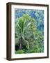 Indonesia, Bali, Ubud. Palm trees in a tropical forest.-Julie Eggers-Framed Photographic Print