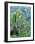 Indonesia, Bali, Ubud. Palm trees in a tropical forest.-Julie Eggers-Framed Photographic Print