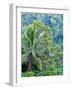 Indonesia, Bali, Ubud. Palm trees in a tropical forest.-Julie Eggers-Framed Photographic Print