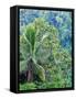 Indonesia, Bali, Ubud. Palm trees in a tropical forest.-Julie Eggers-Framed Stretched Canvas