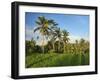 Indonesia, Bali, Ubud. Rice fields and palm trees-Terry Eggers-Framed Photographic Print