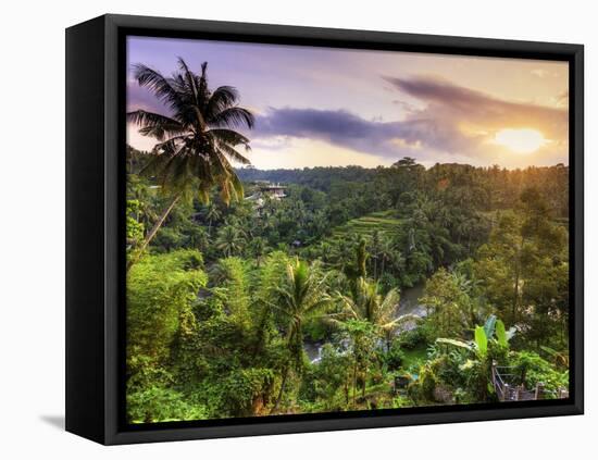 Indonesia, Bali, Ubud, Sayan Valley and Ayung River-Michele Falzone-Framed Stretched Canvas