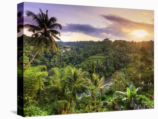 Indonesia, Bali, Ubud, Sayan Valley and Ayung River-Michele Falzone-Stretched Canvas