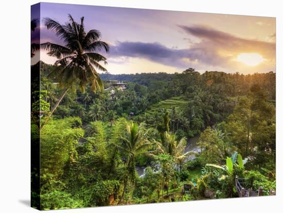 Indonesia, Bali, Ubud, Sayan Valley and Ayung River-Michele Falzone-Stretched Canvas