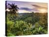 Indonesia, Bali, Ubud, Sayan Valley and Ayung River-Michele Falzone-Stretched Canvas