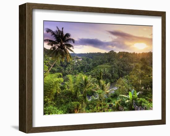 Indonesia, Bali, Ubud, Sayan Valley and Ayung River-Michele Falzone-Framed Photographic Print