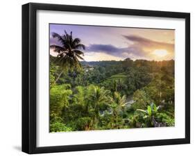 Indonesia, Bali, Ubud, Sayan Valley and Ayung River-Michele Falzone-Framed Photographic Print