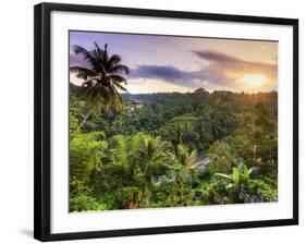 Indonesia, Bali, Ubud, Sayan Valley and Ayung River-Michele Falzone-Framed Photographic Print