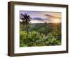 Indonesia, Bali, Ubud, Sayan Valley and Ayung River-Michele Falzone-Framed Photographic Print