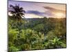 Indonesia, Bali, Ubud, Sayan Valley and Ayung River-Michele Falzone-Mounted Photographic Print