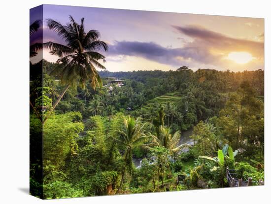 Indonesia, Bali, Ubud, Sayan Valley and Ayung River-Michele Falzone-Stretched Canvas