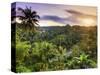 Indonesia, Bali, Ubud, Sayan Valley and Ayung River-Michele Falzone-Stretched Canvas