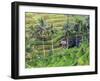 Indonesia, Bali, Ubud, Tegallalang and Ceking Rice Terraces-Michele Falzone-Framed Photographic Print