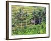 Indonesia, Bali, Ubud, Tegallalang and Ceking Rice Terraces-Michele Falzone-Framed Photographic Print