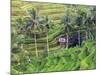 Indonesia, Bali, Ubud, Tegallalang and Ceking Rice Terraces-Michele Falzone-Mounted Photographic Print