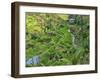 Indonesia, Bali, Ubud. Tegallalang Rice Terraces near Ubud-Terry Eggers-Framed Photographic Print