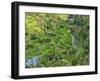 Indonesia, Bali, Ubud. Tegallalang Rice Terraces near Ubud-Terry Eggers-Framed Photographic Print