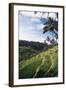 Indonesia, Bali, View of Field-Tony Berg-Framed Photographic Print