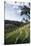 Indonesia, Bali, View of Field-Tony Berg-Stretched Canvas