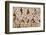 Indonesia, Banda Sea. Close-up of hard coral.-Jaynes Gallery-Framed Photographic Print