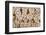 Indonesia, Banda Sea. Close-up of hard coral.-Jaynes Gallery-Framed Photographic Print