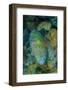 Indonesia, Bima Bay. Close-Up of Wrasse Fish-Jaynes Gallery-Framed Photographic Print