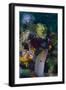 Indonesia, Bima Bay. Moray Eel and Coral-Jaynes Gallery-Framed Photographic Print