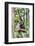 Indonesia, Central Kalimatan, Tanjung Puting National Park. a Bornean White-Bearded Gibbon.-Nigel Pavitt-Framed Photographic Print