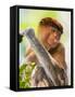 Indonesia, Central Kalimatan, Tanjung Puting National Park. a Female Proboscis Monkey.-Nigel Pavitt-Framed Stretched Canvas