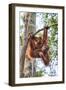 Indonesia, Central Kalimatan-Nigel Pavitt-Framed Premium Photographic Print