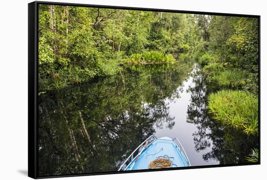 Indonesia, Central Kalimatan-Nigel Pavitt-Framed Stretched Canvas