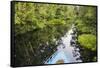 Indonesia, Central Kalimatan-Nigel Pavitt-Framed Stretched Canvas