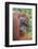 Indonesia, Central Kalimatan-Nigel Pavitt-Framed Photographic Print