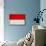 Indonesia Flag Design with Wood Patterning - Flags of the World Series-Philippe Hugonnard-Mounted Art Print displayed on a wall