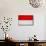 Indonesia Flag Design with Wood Patterning - Flags of the World Series-Philippe Hugonnard-Mounted Art Print displayed on a wall