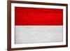 Indonesia Flag Design with Wood Patterning - Flags of the World Series-Philippe Hugonnard-Framed Art Print