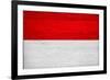 Indonesia Flag Design with Wood Patterning - Flags of the World Series-Philippe Hugonnard-Framed Art Print