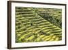 Indonesia, Flores Island, Bajawa. Farmers Harvest Rice on Terraced Rice Fields Near Bajawa.-Nigel Pavitt-Framed Photographic Print