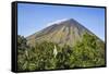 Indonesia, Flores Island, Bajawa. the Active Stratovolcano Inerie in Ngada District.-Nigel Pavitt-Framed Stretched Canvas