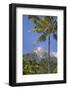 Indonesia, Flores Island, Bajawa. the Active Stratovolcano Inerie in Ngada District.-Nigel Pavitt-Framed Photographic Print